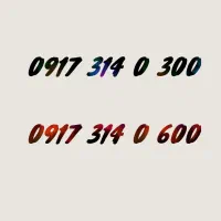 09173140300