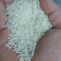 برنج هاشمی وعلی کاظمی