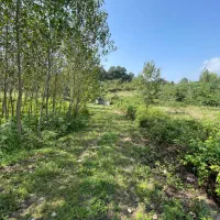 زمین ۱۰۴۰ متری لاهیجان لواسی محله پروانه ساخت