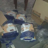 نسکافه و قهوه