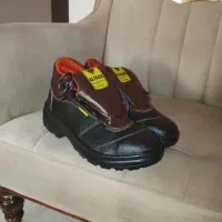 کفش ایمنی کار