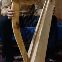 چنگ سلتیک ۲۲ سیم