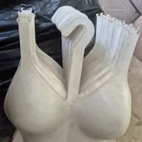 چوب لباسی و مانکن