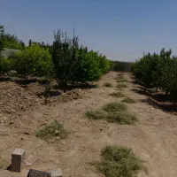 چهاردیواری باغی،۸۵۰متر،سند تک برگ،شهریار،دهشاد