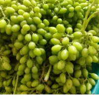 آبغوره