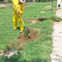 کارگر فضای سبز