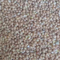 انواع قلات و حبوبات و دان پرنده