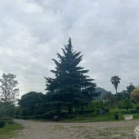 ملک-تجاری