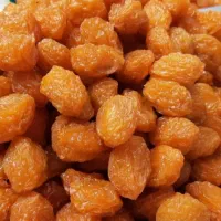 آلو بخارا و انواع خشکبار
