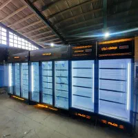 یخچال ایستاده فریزر بادی