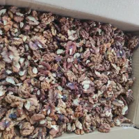 گردو خورشتی ایرانی