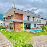 زبونم بنداومدموقع نوشتن توضیحاتش/جنگل‌تو خونته