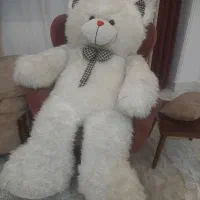 خرس یک ونیم متری