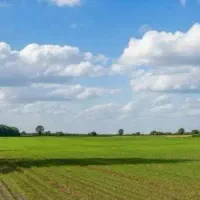 زمین-فیاضی