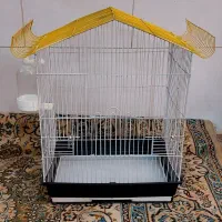 قفس فانتزی مناسب انواع پرندگان زینتی