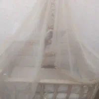 گهواره و تخت نو