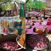 همکاری با تور ولیدرهای گرامی
