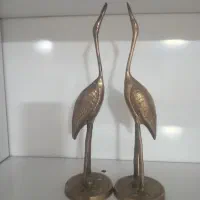 قوی برنزی