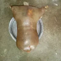 هیز روغن