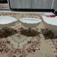 سرویس پذیرایی