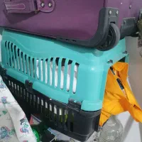 باکس سگ و گربه