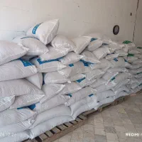 دان جوجه یک روزه وگندم وذرت استارتر مرغ تخمگذار
