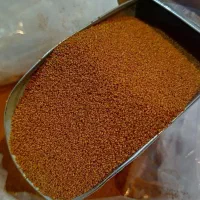 خاکشیر شیرین سرت
