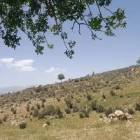 طبیعت گردی