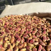 دعوت به همکاری