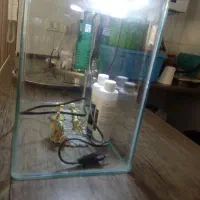 اکواریوم
