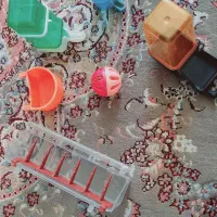 وسایل قفس پرنده