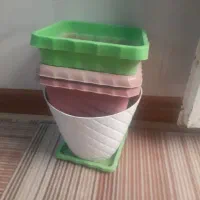 گلدان پلاستیک