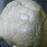 فسیل|عمده‌فروشی|معصومیه, |دیوار