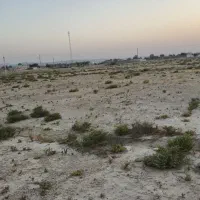 زمین منصور آباد