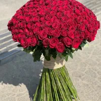فقط ۴۵ هزارتومان(گل رز هلندی)