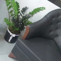 کارمخصوص خانم ها