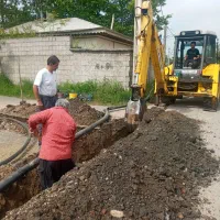 اجاره بیل بکهو نیوهلند