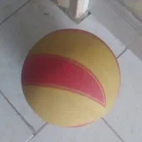 چلتیک