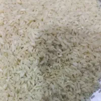 برنج محلی