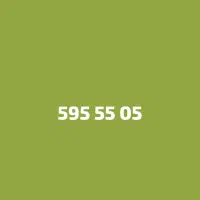 0912.595.55.05خط رند