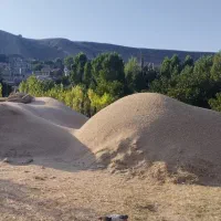 کاه گندم خرمن‌کوب