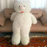 خرس بزرگ ۲متری