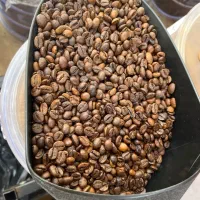 فروش قهوه عمده