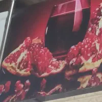 ابمیوه گیر حرفه ای سالندار و نیروی خدماتی