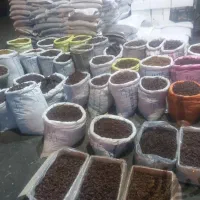 پخش انواع کشمش آفتابی شیراز بوانات میمند وکوار..