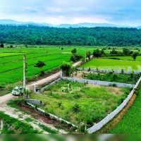 پرداختی هر ماه چک (۱۵۰ میلیونی) بهدشت نور