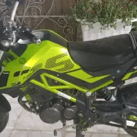 Benell135 TNT
