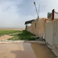 گاوداری۲۰۰ راس  صنعتی پرواری|فروش دفتر صنعتی، کشاورزی، تجاری|قزوین, |دیوار