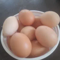 تخم مرغ محلی اصل تازه