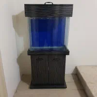 اکواریوم